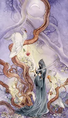Two of Swords Shadowscapes Tarot - Mô tả & Giải nghĩa Trải bài